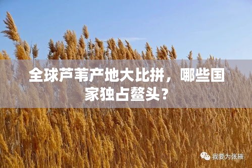 全球芦苇产地大比拼，哪些国家独占鳌头？