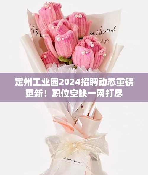 定州工业园2024招聘动态重磅更新！职位空缺一网打尽