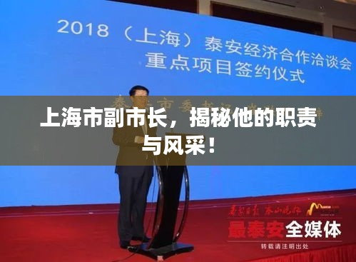 上海市副市长，揭秘他的职责与风采！