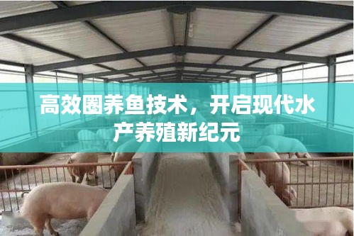 高效圈养鱼技术，开启现代水产养殖新纪元