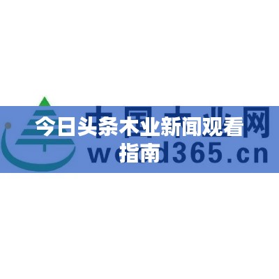 今日头条木业新闻观看指南