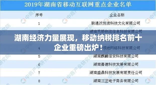 湖南经济力量展现，移动纳税排名前十企业重磅出炉！