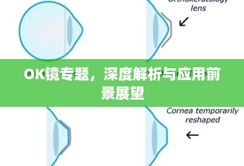 2025年6月 第76页