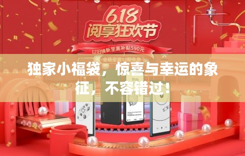 独家小福袋，惊喜与幸运的象征，不容错过！