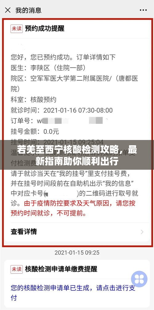 若羌至西宁核酸检测攻略，最新指南助你顺利出行