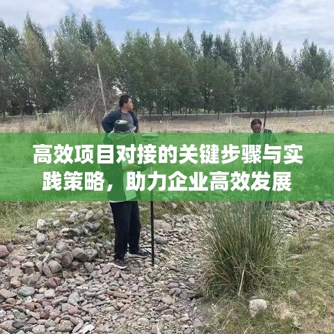 高效项目对接的关键步骤与实践策略，助力企业高效发展