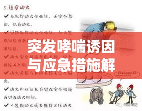 突发哮喘诱因与应急措施解析