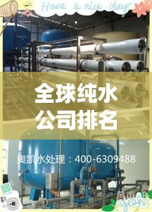 全球纯水公司排名与水处理领域卓越贡献解析