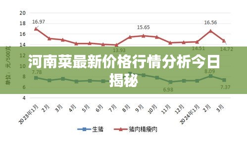 河南菜最新价格行情分析今日揭秘