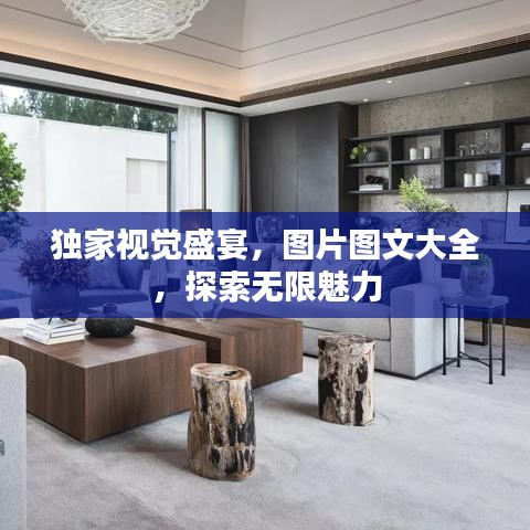 独家视觉盛宴，图片图文大全，探索无限魅力
