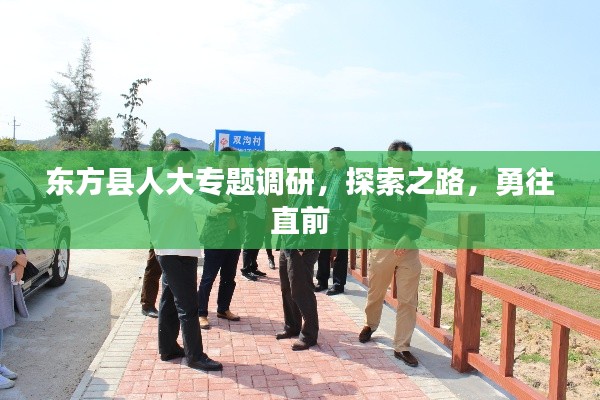 东方县人大专题调研，探索之路，勇往直前