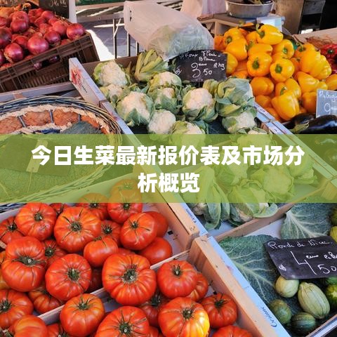 今日生菜最新报价表及市场分析概览