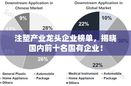注塑产业龙头企业榜单，揭晓国内前十名国有企业！