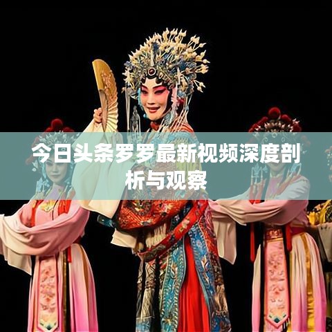 今日头条罗罗最新视频深度剖析与观察