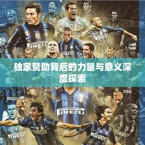 独家赞助背后的力量与意义深度探索