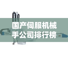 国产伺服机械手公司排行榜及行业影响力解析