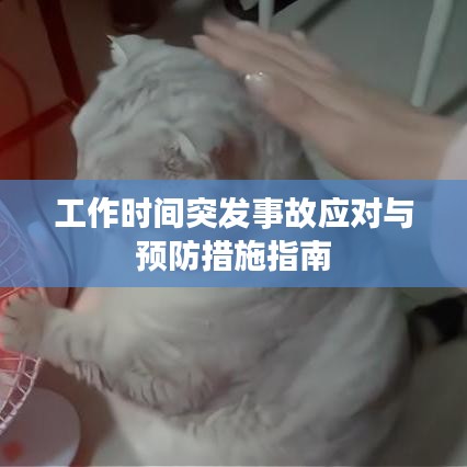 工作时间突发事故应对与预防措施指南
