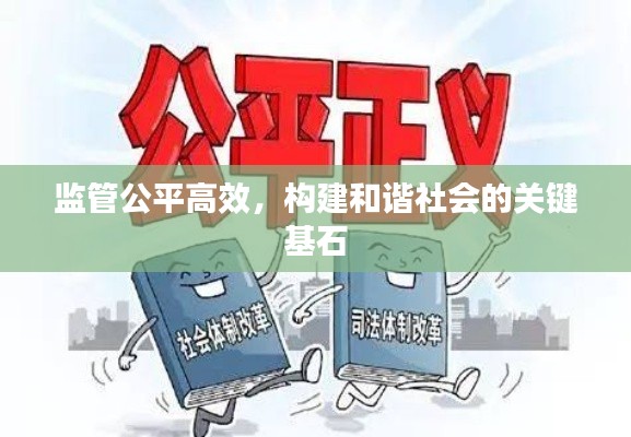 监管公平高效，构建和谐社会的关键基石