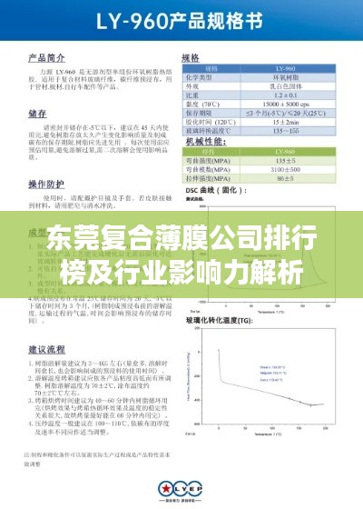 东莞复合薄膜公司排行榜及行业影响力解析