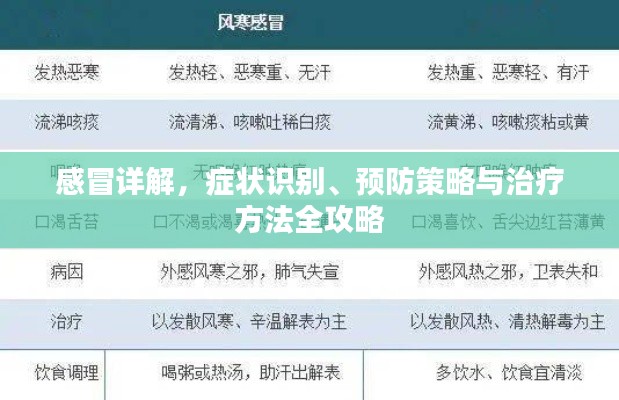 轻飞曼舞