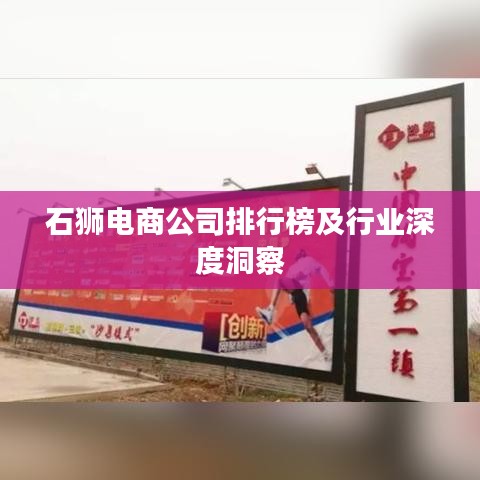石狮电商公司排行榜及行业深度洞察