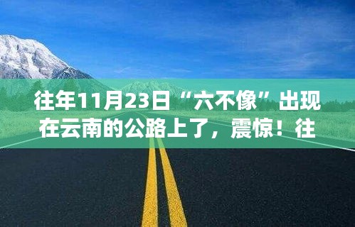 2024年11月 第377页