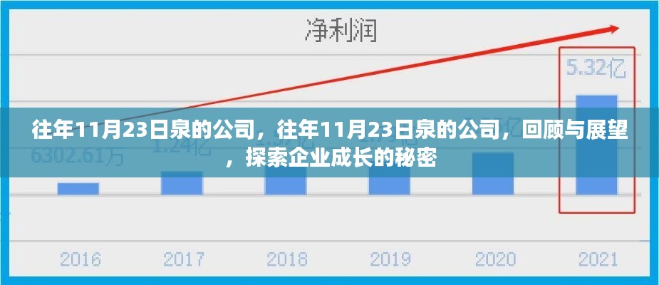 往年11月23日泉的公司，回顾与展望，揭秘企业成长之路