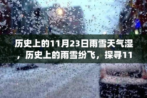 探寻历史上的雨雪纷飞，揭秘11月23日的湿冷印记