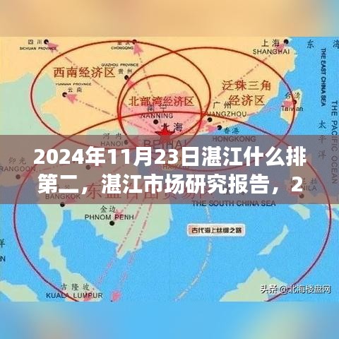 湛江市场研究报告，揭秘排名第二产品的深度解析，湛江市场趋势展望（2024年11月23日）