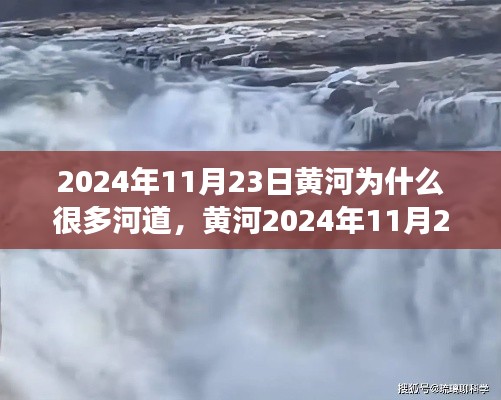 黄河众多河道现象探究，揭秘背后的原因与影响（2024年11月23日）