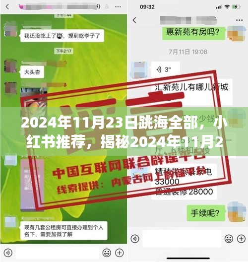 揭秘，小红书推荐的海洋盛宴——2024年11月23日跳海狂欢背后的故事