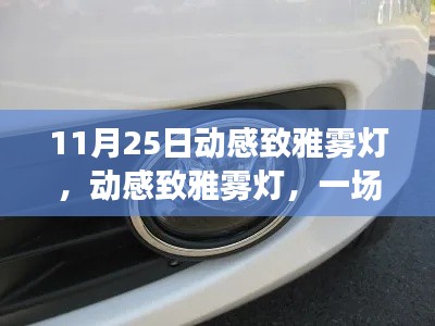 动感致雅雾灯，视觉盛宴的回顾与解读