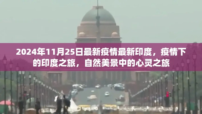 印度疫情下的心灵与自然之旅，最新疫情下的印度美景探索（2024年11月25日）