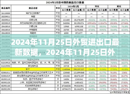 最新外贸进出口数据下的经济观察与个人见解（2024年11月25日）