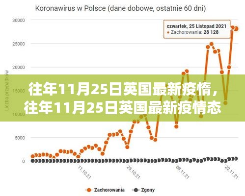 往年11月25日英国最新疫惰，往年11月25日英国最新疫情态势深度评测