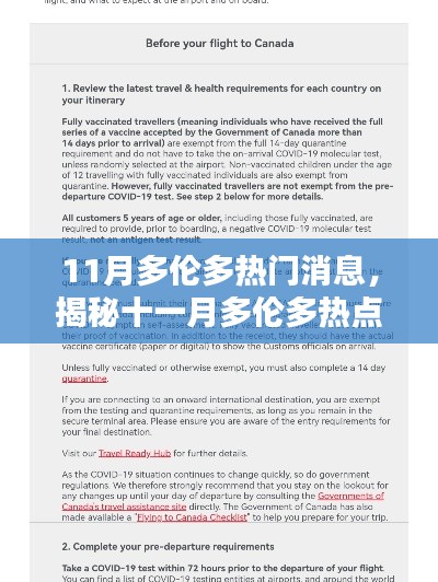 揭秘十一月多伦多热点，最新动态与热门消息，小红书带你探秘🍁