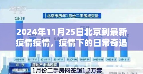 北京疫情下的日常奇遇，北京之家的温馨时光（2024年疫情最新报道）