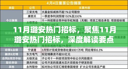 深度解读，聚焦11月璐安招标热点，把握要点与趋势分析