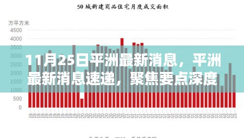 平洲最新消息聚焦，深度解析要点速递（11月25日版）