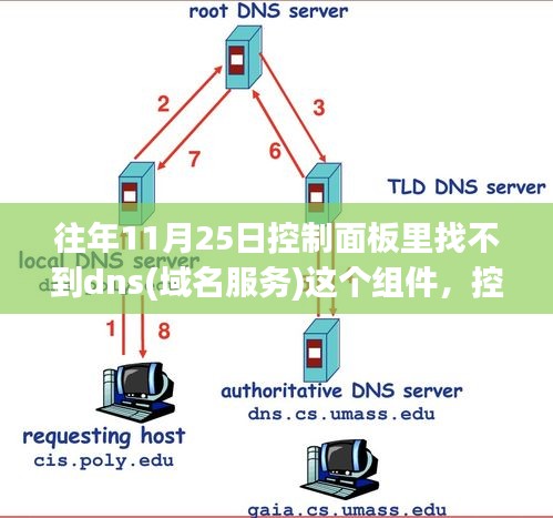 控制面板缺失DNS组件，原因解析与解决方案（往年案例分析）