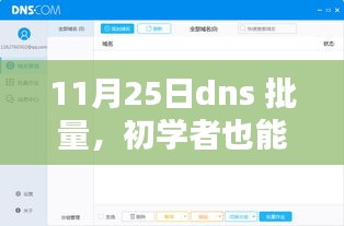 初学者轻松掌握DNS批量配置，详细步骤指南（11月25日版）