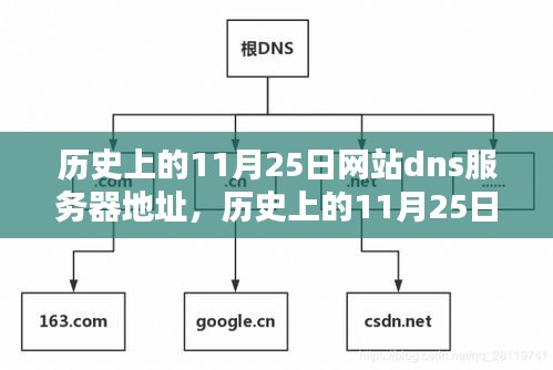 历史上的11月25日网站DNS服务器地址探寻，数字时代的记忆碎片揭秘