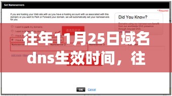 往年11月25日域名DNS生效时间详解，特性、体验、竞品对比及用户群体分析全攻略