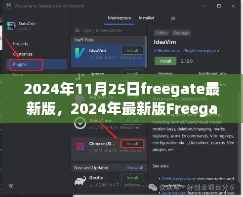 2024年最新版Freegate使用指南，安装与配置详解