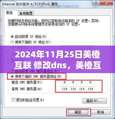 美橙互联DNS修改步骤详解，初学者与进阶用户的操作指南（2024年11月25日更新）