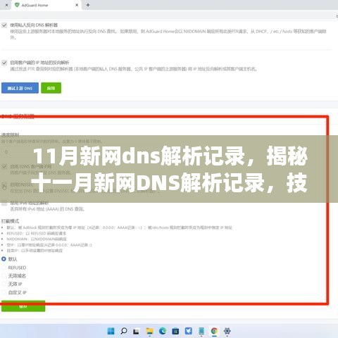 揭秘十一月新网DNS解析记录的技术细节与影响