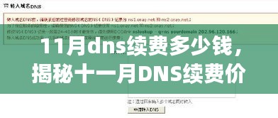 揭秘11月DNS续费价格，省钱攻略与费用详解！