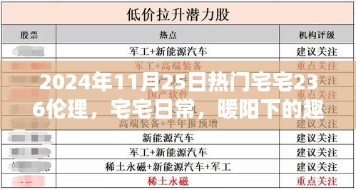 宅宅日常，暖阳下的伦理时光与深情纽带（2024年11月25日热门）