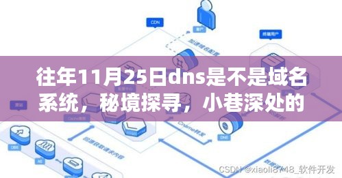 秘境探寻与DNS奇妙之旅，探寻域名系统下的特色小店与小巷深处的惊喜