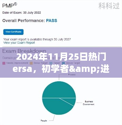 玩转热门ERSA技能全攻略，初学者与进阶用户适用（2024年11月25日）